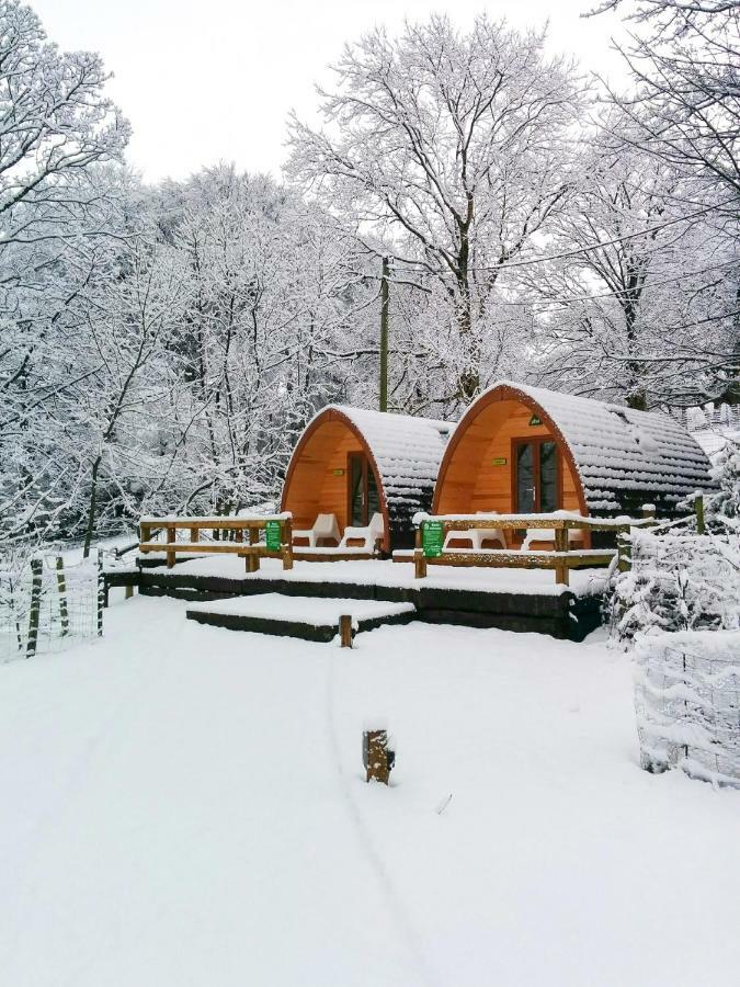 4 Bed Camping Pod